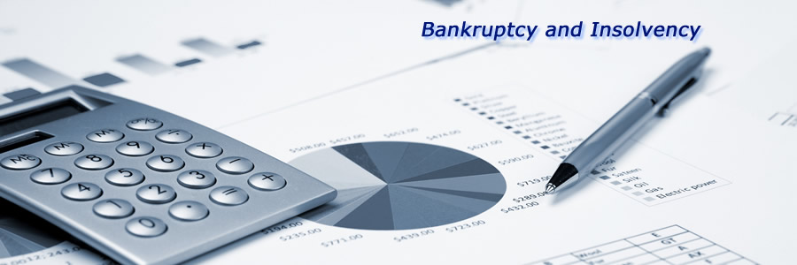 Bankruptcy / Insolvency