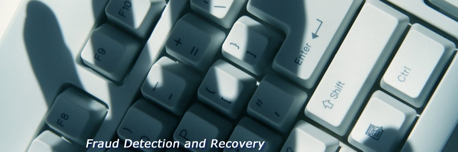 Fraud Detection & Recovery